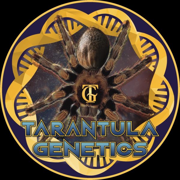 Tarantula Genetics